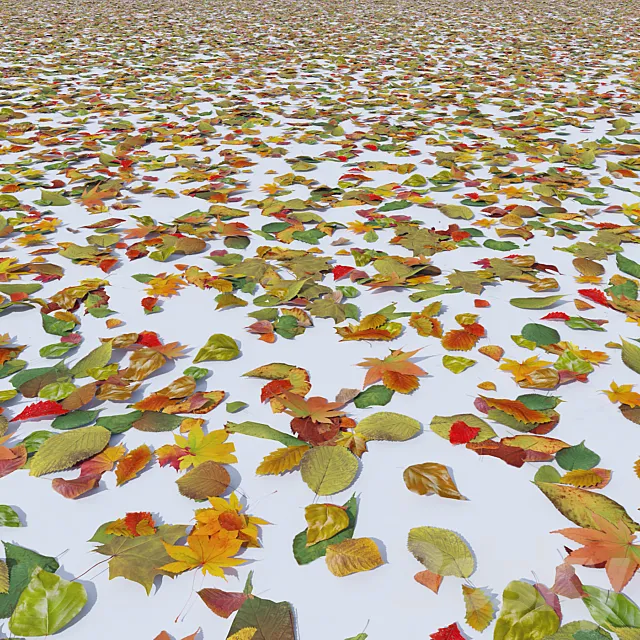 Autumn leaves 3DModel Autumn leaves 3DModel