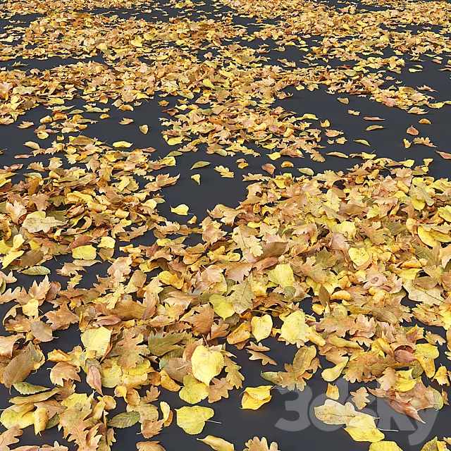 Autumn leaves. yellow 3D Model