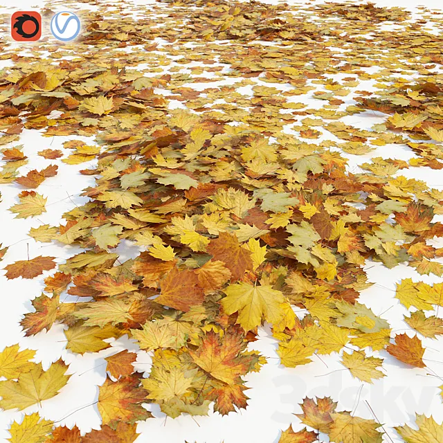 Autumn maple leaves 3DModel Autumn maple leaves 3DModel