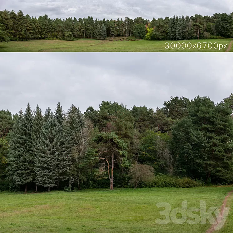 Autumn panorama with trees. 30k 3D Model Free Download Autumn panorama with trees. 30k 3D Model Free Download