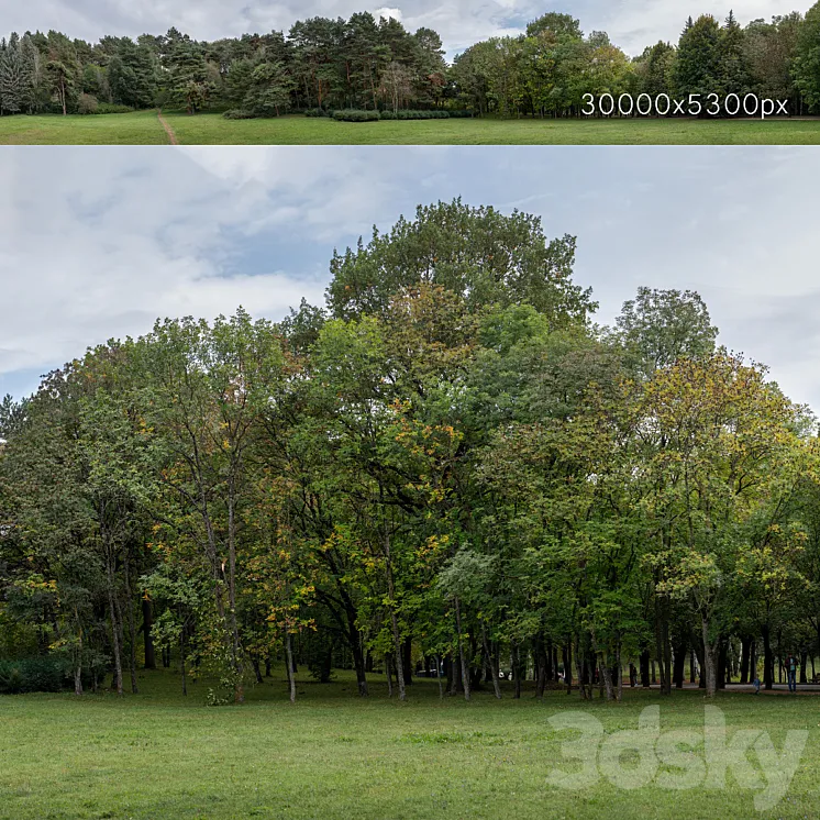 Autumn panorama with trees v2. 30k 3D Model Free Download