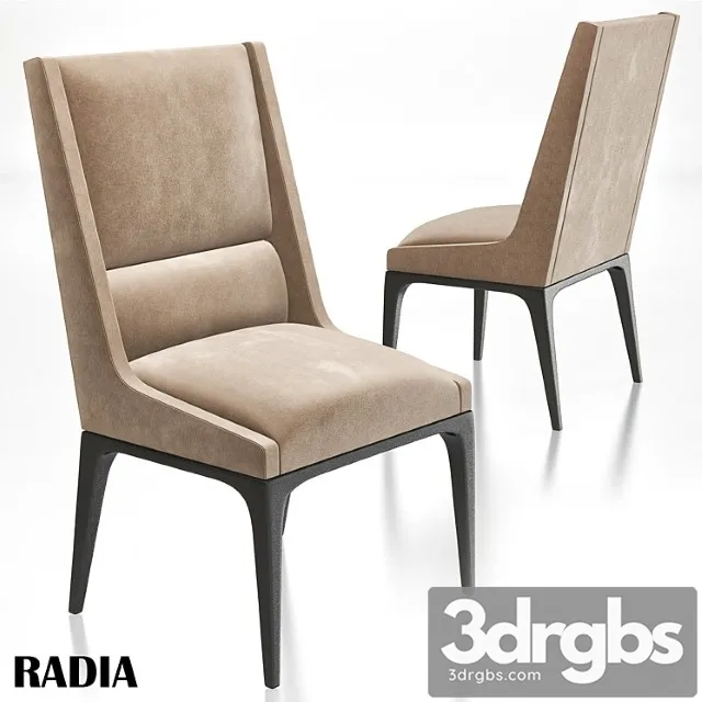 AXIS Radia Dining Chair 3D Model Download