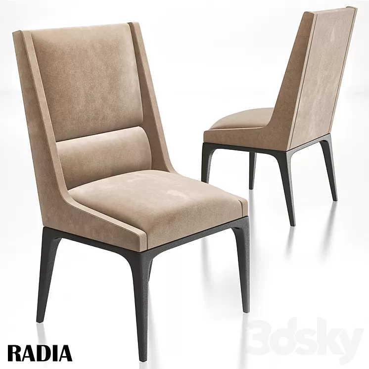 AXIS – radia dining chair 3D Model
