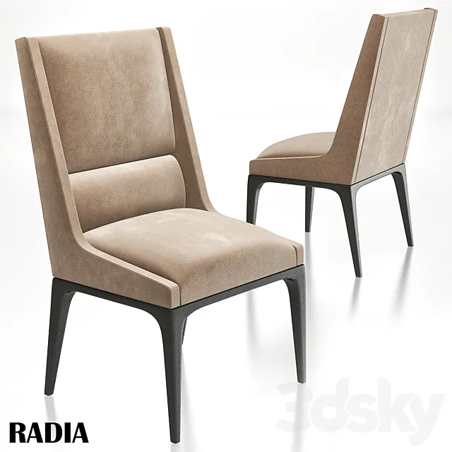 AXIS – radia dining chair 3DModel AXIS – radia dining chair 3DModel