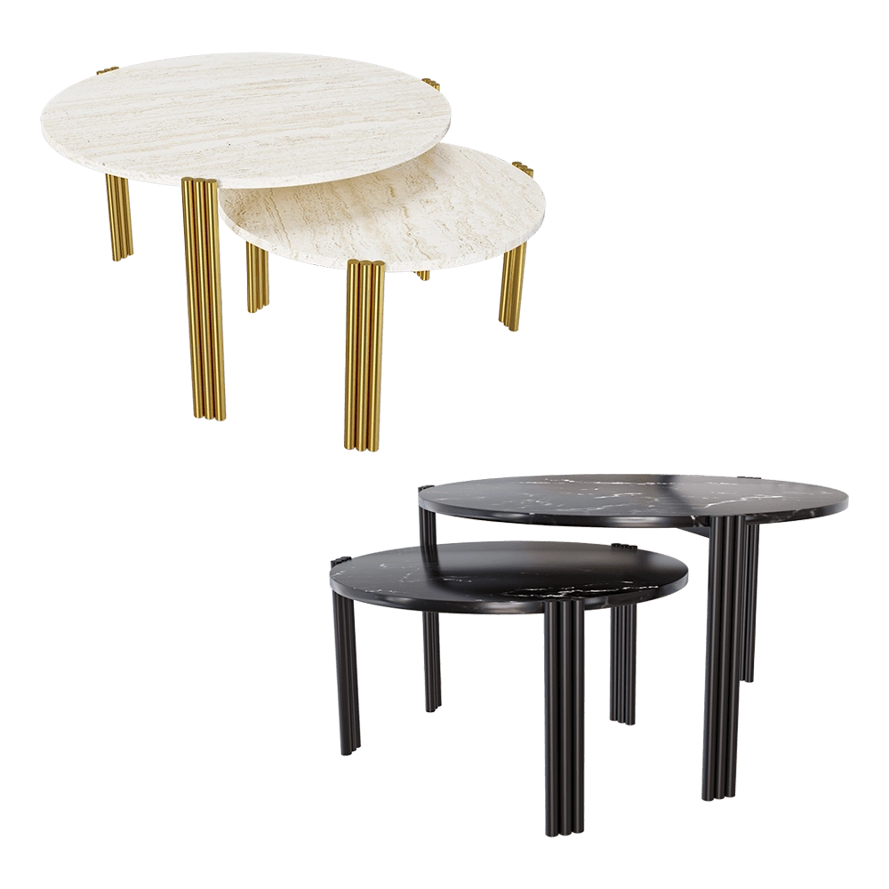 AYTM – Coffee table TRIBUS 3D Model