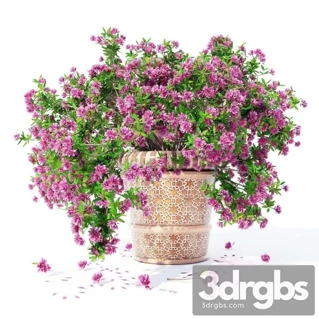 Azalea Bouquet 4 3D Model Download