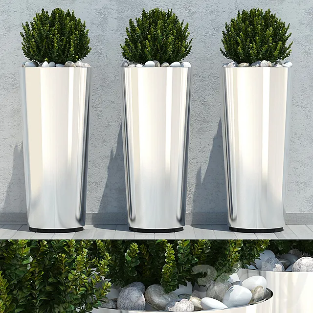 Ball plant 03 3D Model Ball plant 03 3D Model