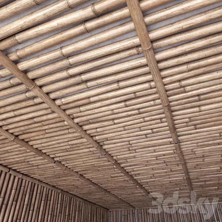 Bamboo ceiling / Bamboo ceiling 3D Model