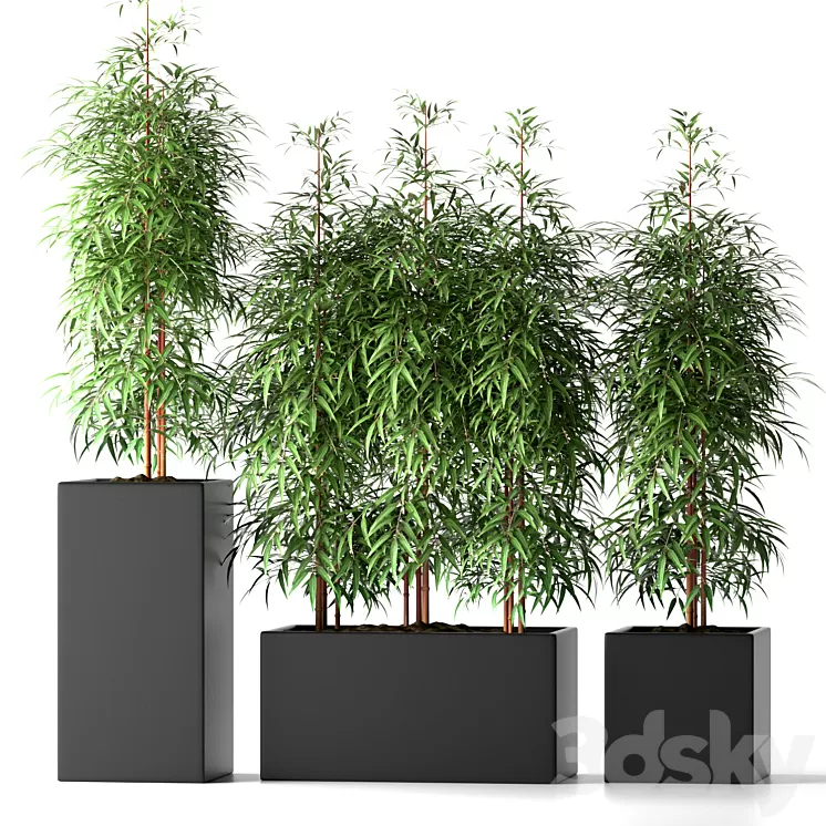 BAMBOO PLANTS 20 3D Model BAMBOO PLANTS 20 3D Model