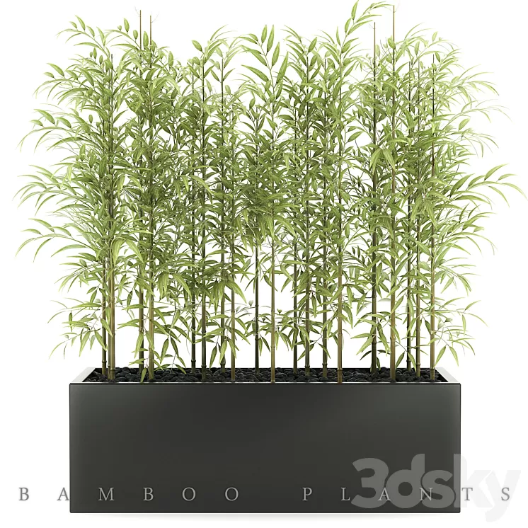 BAMBOO PLANTS 49 3D Model BAMBOO PLANTS 49 3D Model