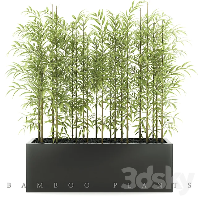 BAMBOO PLANTS 49 3DModel BAMBOO PLANTS 49 3DModel