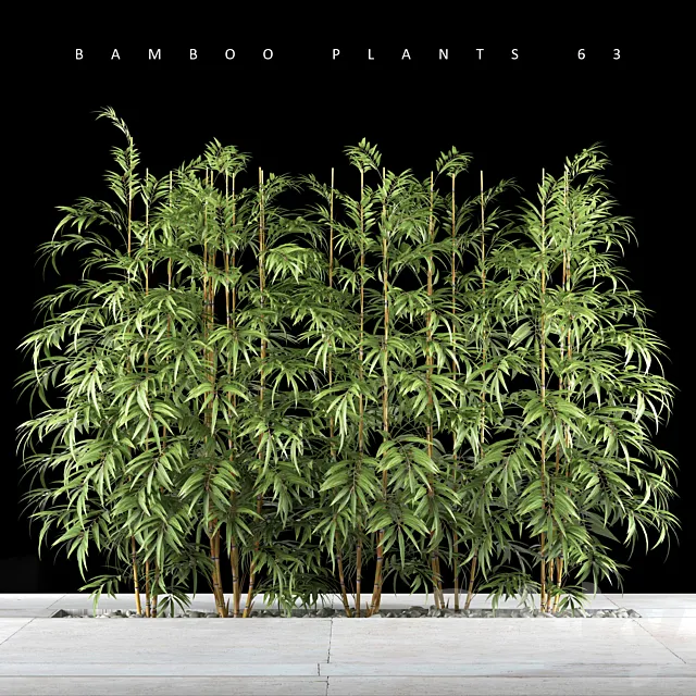 BAMBOO PLANTS 63 3DModel BAMBOO PLANTS 63 3DModel