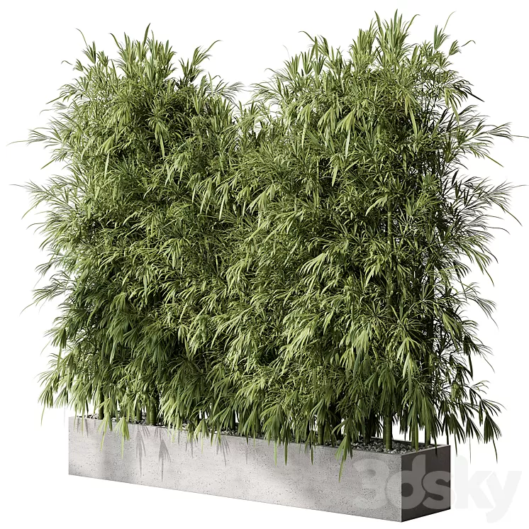 Bamboo Plants – Outdoor Plants 468 3D Model Free Download