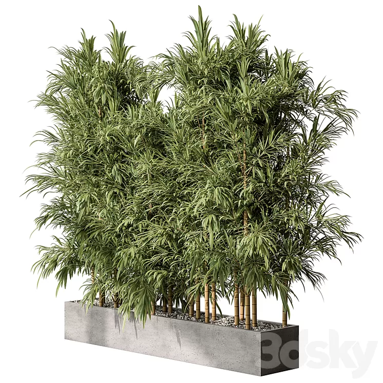 Bamboo Plants - Outdoor Plants 469 3D Model - 3DSKY Decor Helper
