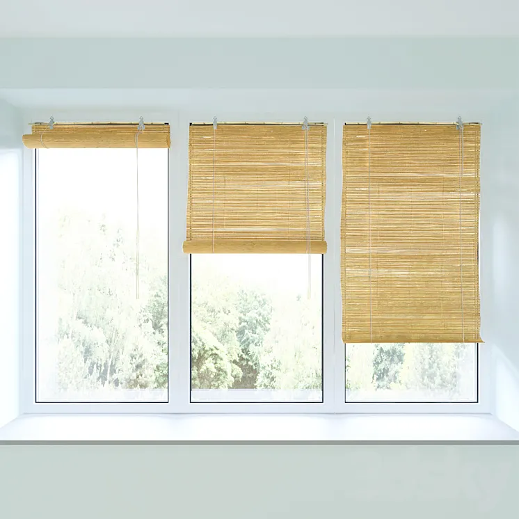 Bamboo roll blind and plastic window 3D Model Free Download