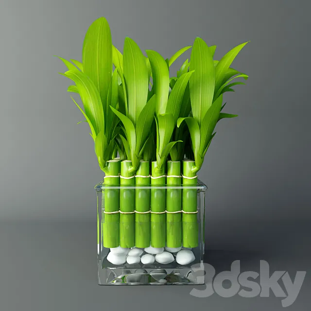 Bamboo room 3DModel Bamboo room 3DModel