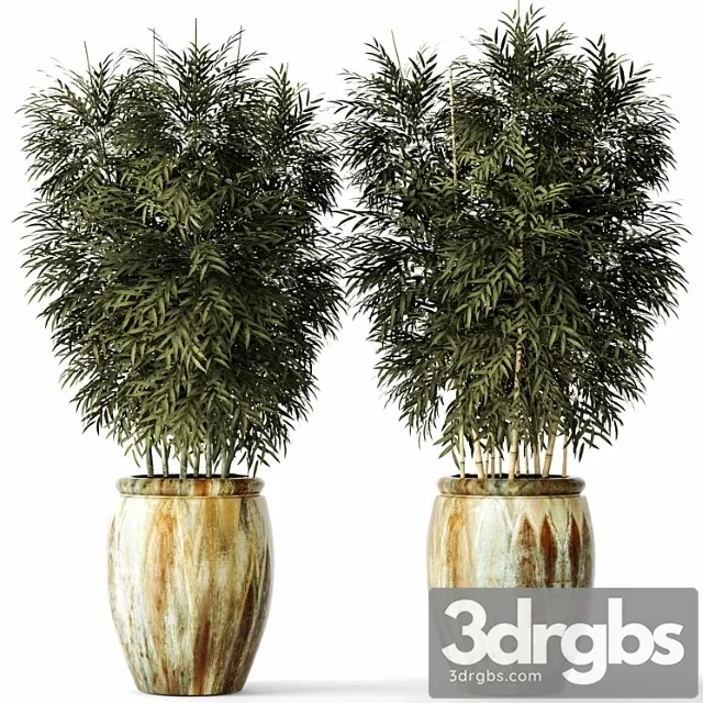 Bamboo Set Tsvetok Gorshok Kust Bambuka Zarosli Bambuk Gorshok Vazon Ulichnyi 3D Model Download