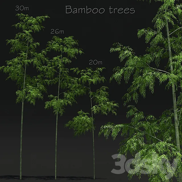 Bamboo Trees 3DModel Bamboo Trees 3DModel