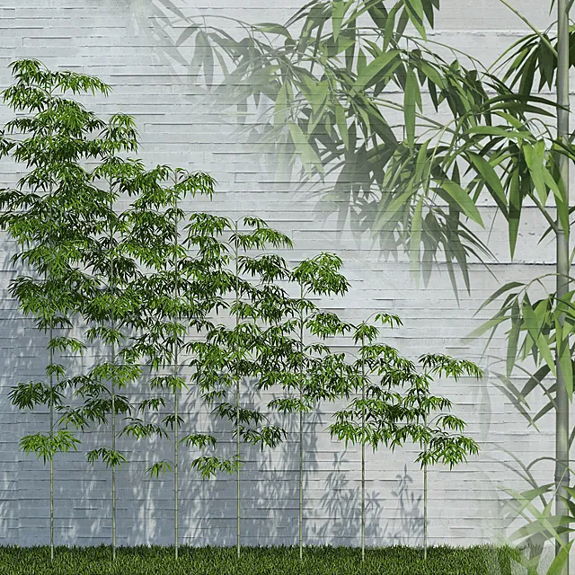 Bamboo Trees for scatter 3D Model Bamboo Trees for scatter 3D Model