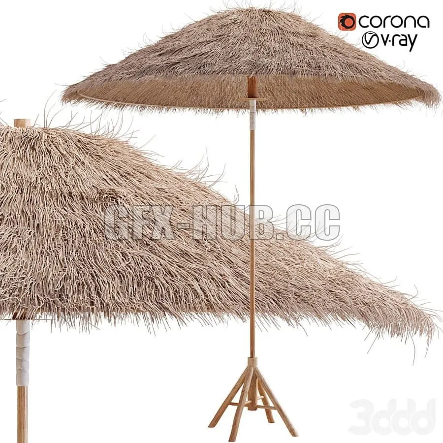 Bamboo Umbrella with Banana Leaf 3D Model
