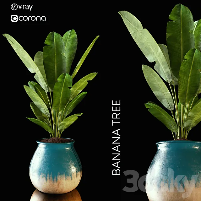 banana tree 3D Model banana tree 3D Model