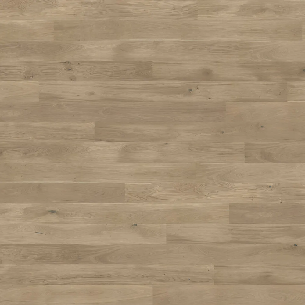 Barlinek – Flooring Oak Biscuits Grande 3D Model