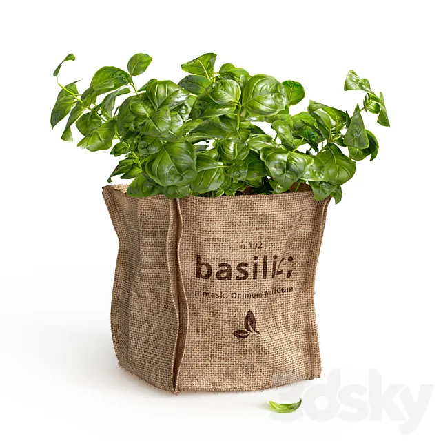 Basil in burlap (microgreens) 3D Model