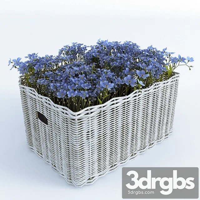 Basket With Forget Me Nots 3D Model Download