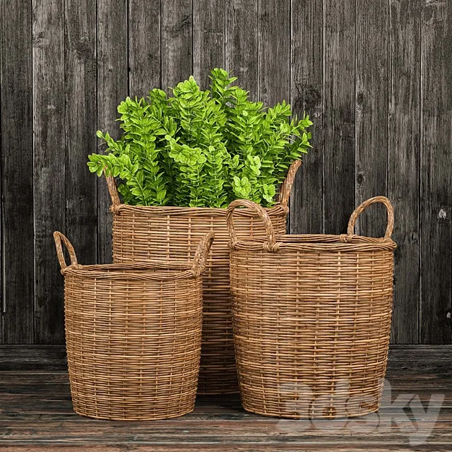 Basket with plants 3D Model Basket with plants 3D Model