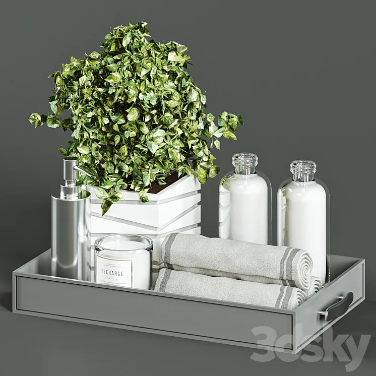 Bathroom Accessories 02 3D Model Free Download