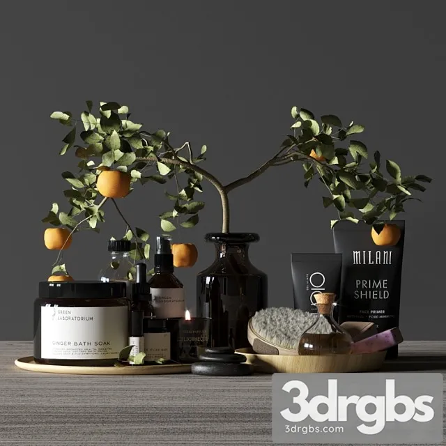 Bathroom Decor Spa 3D Model Download