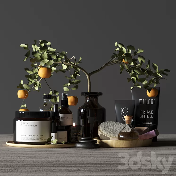 Bathroom decor spa 3D Model