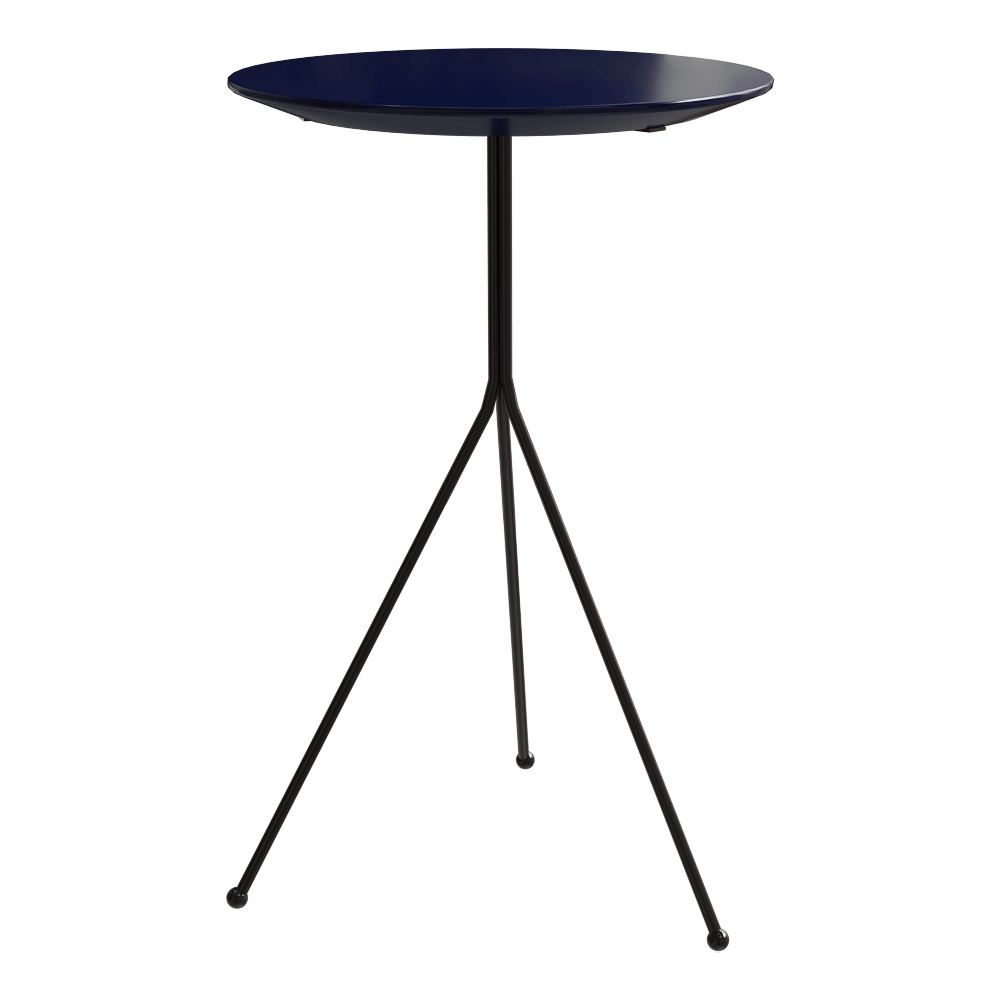 BAXTER – Coffee table Liquid 3D Model