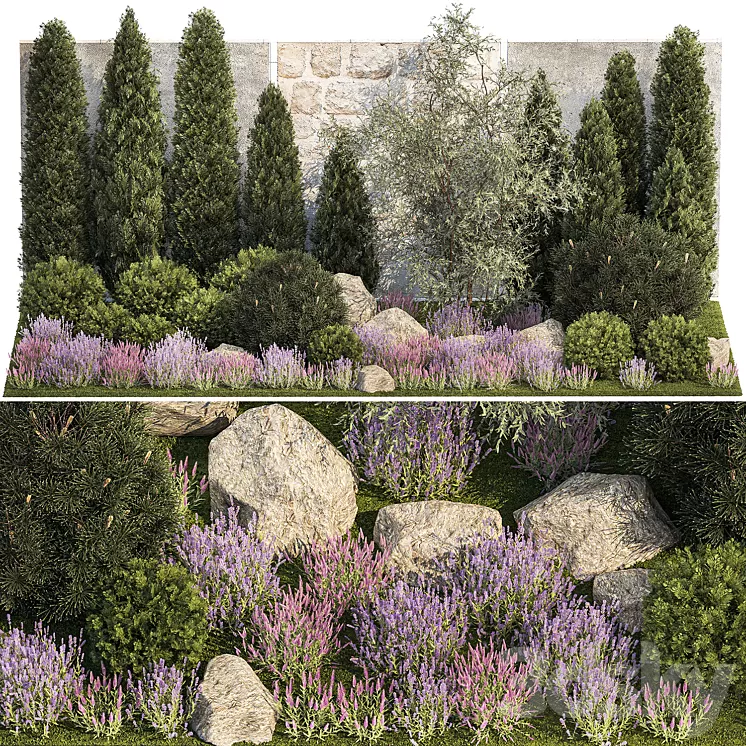 Beautiful garden with arborvitae and landscaping with pine cypress topiary boulder stones flowers and lavender sage bushes. 1265 3D Model Free Download