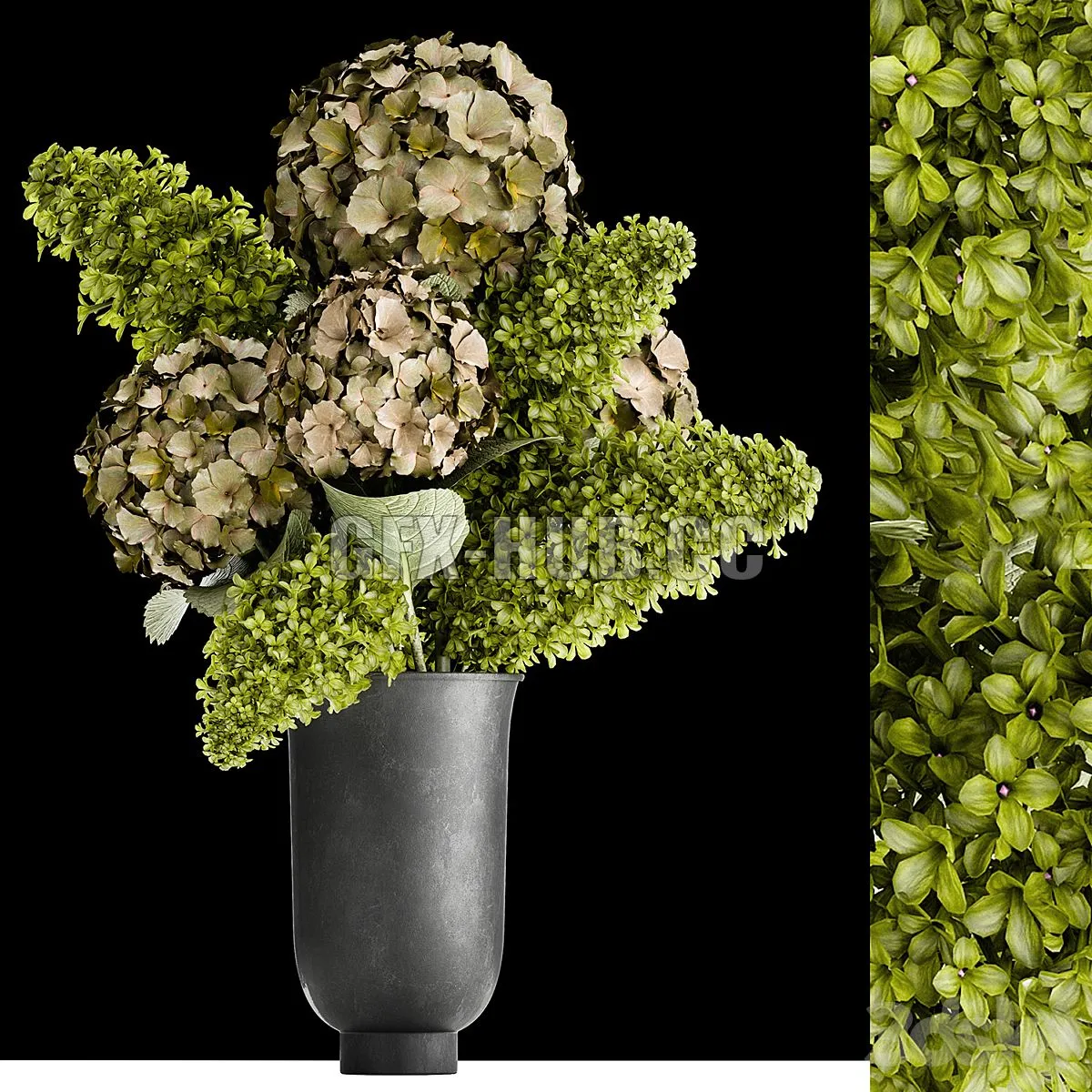 Beautiful modern bouquet of green flowers in a black vase MENU CYCLADES with Hydrangea green Lilac 169 3D Model Beautiful modern bouquet of green flowers in a black vase MENU CYCLADES with Hydrangea green Lilac 169 3D Model