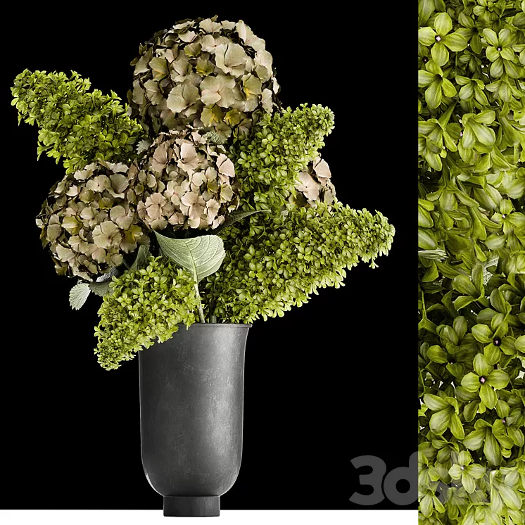 Beautiful modern bouquet of green flowers in a black vase with Hydrangea green Lilac. 169 3D Model Free Download
