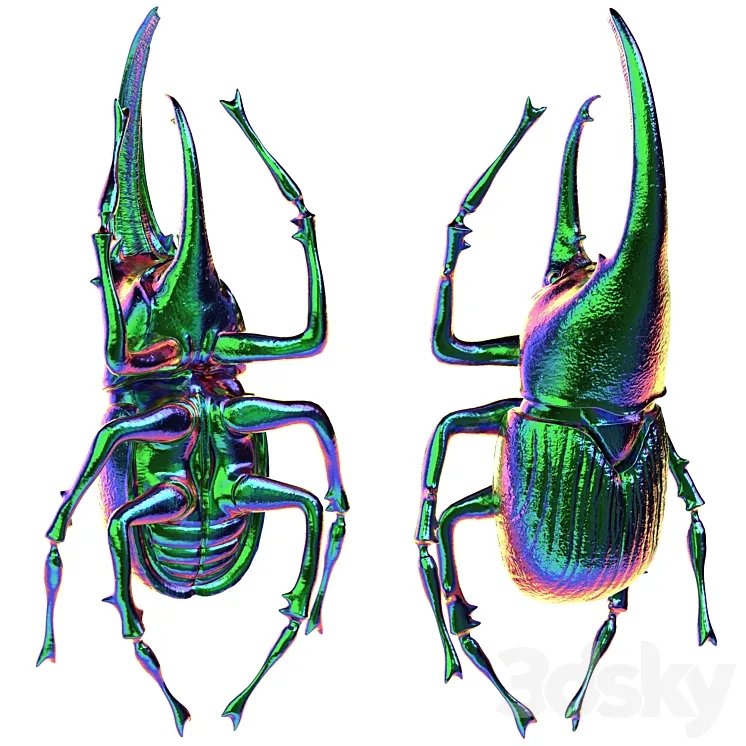 Beetle III wall accessory 3D Model Free Download