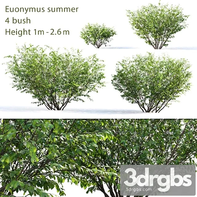 Berezkin 5 Summer 3D Model Download