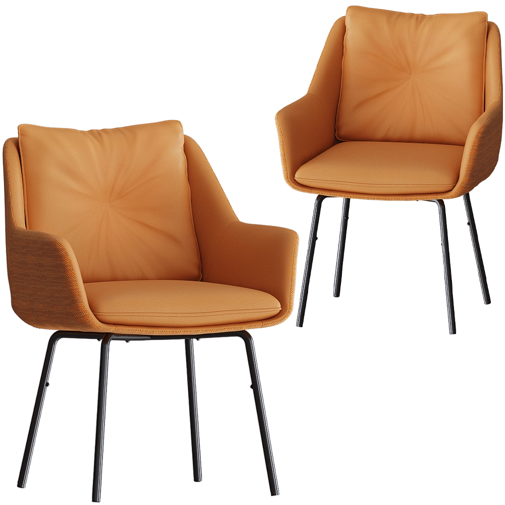 Bergenson Bjorn – Chair Allar 3D Model