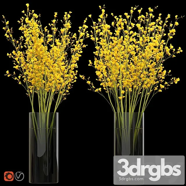 Big Bouquet Orchid Oncidium in a Vase 3D Model Download