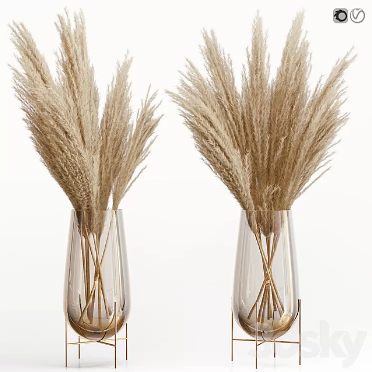 Big dried flower pampas grass in glass vase 5 3D Model