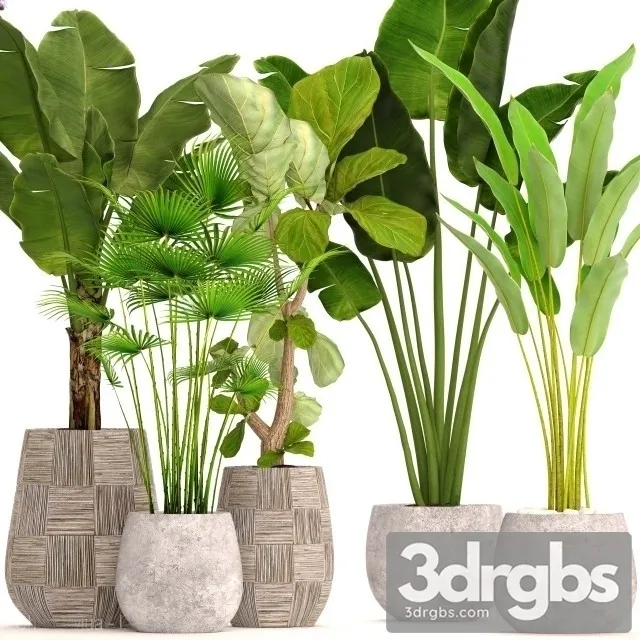 Big Set Plant 3D Model Download