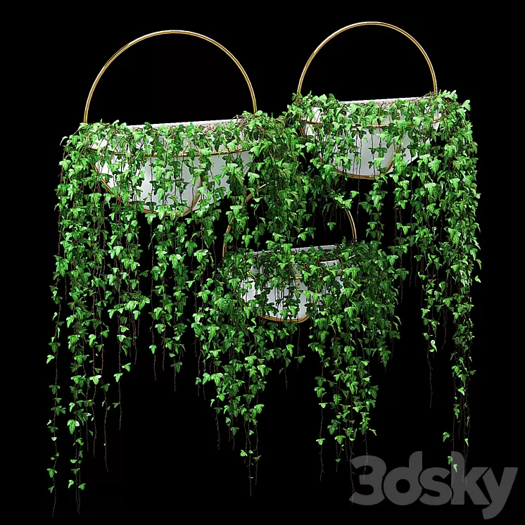 Bigler ivy 3D Model Bigler ivy 3D Model