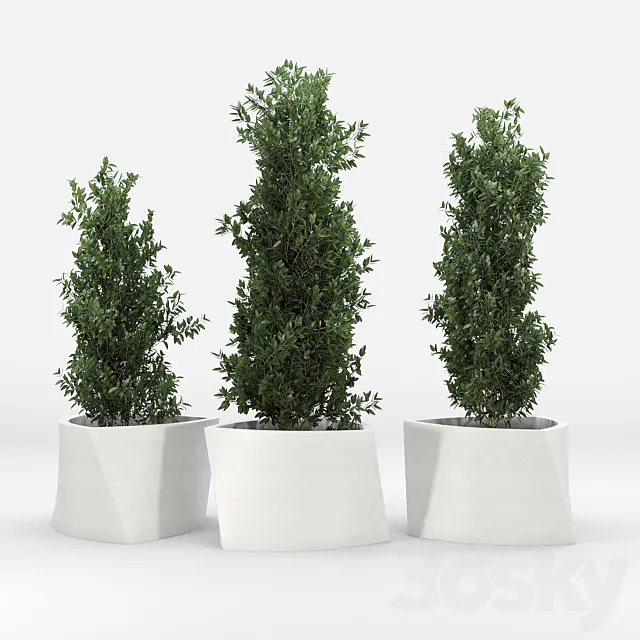 BILBAO 3D Model BILBAO 3D Model