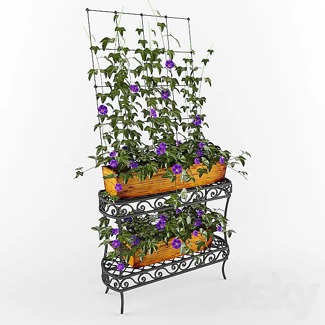 bindweed 3DModel bindweed 3DModel