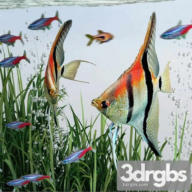 BiOrb 15L Flow Aquarium 3D Model Download