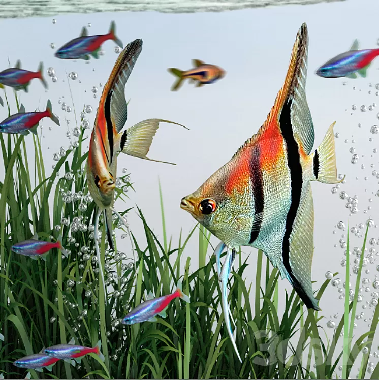 BiOrb 15L Flow Aquarium 3D Model BiOrb 15L Flow Aquarium 3D Model