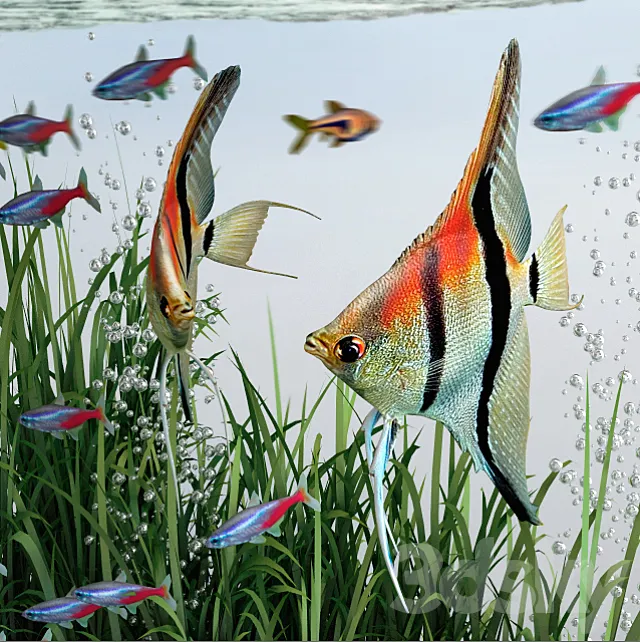 BiOrb 15L Flow Aquarium 3DModel BiOrb 15L Flow Aquarium 3DModel