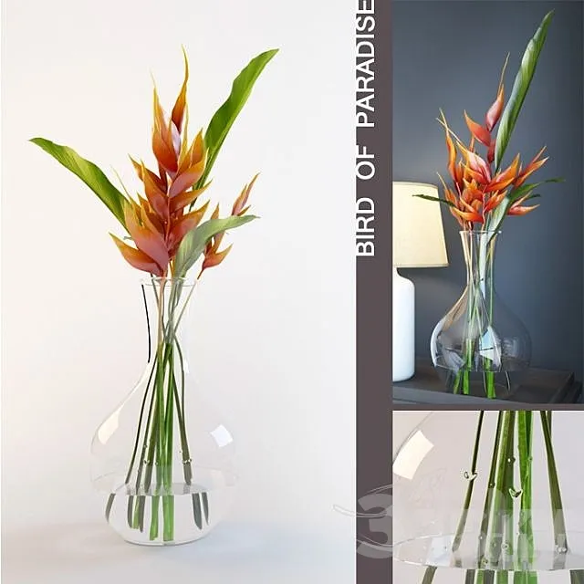 Bird of paradise in vase 3DModel Bird of paradise in vase 3DModel