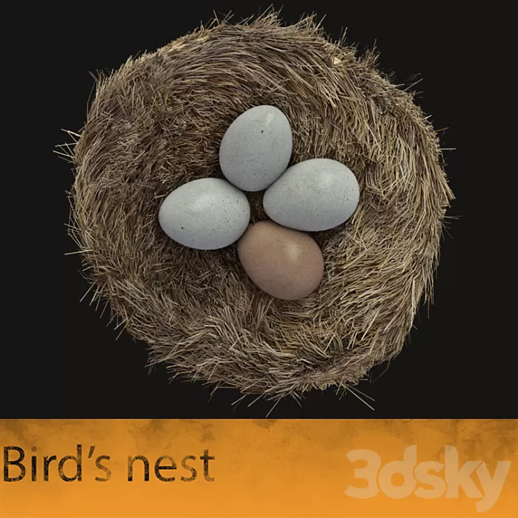 Bird's nest 3D Model